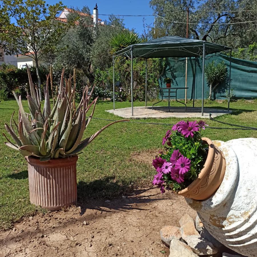 Itea'S Garden House Kirra Exterior foto